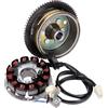 BestPrice Statore e rotore alternatore per Minarelli AM6 MORIC/Power up con e-start | Compatibile con MBK X-Power 50 dal 2003 e Minarelli AM6 Moric / Power up. Non compatibile con veicoli con avviamento a pedale