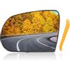 MIRROVIA Specchio retrovisore sinistro per sostituzione vetro con piastra di supporto riscaldato, vetro bianco per Jeep Cherokee 2014-2019 e per Jeep Compass 2017-2021 Sostituzione Auto