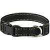 Amazon Basics Collare per Cani in Poliestere, Taglia M