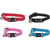 Flamingo Gatto Collare Gattino Libero Colori Multipli 15-22cm 10mm