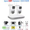 SMAR Kit Videosorveglianza WiFi 2 Telecamere 6MP NVR 8CH PTZ AI IP66 - Con HDD 1 TB