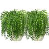 CATTREE Ghirlanda artificiale di salice piangente, in plastica, con foglie verdi, da appendere, resistente ai raggi UV, per casa, interni, esterni, giardino, porta, parete, cesti, feste di nozze, decorazione
