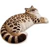 Generic Tappeto a forma di gatto, ad asciugatura rapida, decorazione per la stanza, grazioso tappeto per il bagno, per interni, casa, porta d'ingresso, doccia, cucina, camera da letto, soggiorno, corridoio