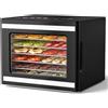 TRIUMPHKEY Essiccatore Alimentare 6 Vassoi in Acciaio Inox, Compatto, 35-75 °C, Timer 48 h, Display Touch, Luce Interna e Memoria per Frutta, Verdura, Carne ed Erbe