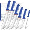 DRAGON RIOT Set Coltelli Macellaio Professionali 6 Pezzi, Lame Flessibili | Set Coltelli da Carne Affilati con Disosso e Scatola Regalo, Impugnatura Ergonomica per Tagli Precisi, Barbecue e Casa