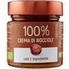 Generico Crema di Nocciole Tostate Pura al 100% Biologica 175g