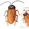 Generic Cat Cockroach Toy │ Giocattolo realistico per gatti attivo, accessorio divertente | Scarafaggio elettronico con rumore ed gatta, stimola l'istinto di caccia, divertente gioco interattivo per