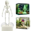 CYUXING 1 Set Acquario con Generatore di Bolle Scheletro Ballerino | Scheletro Plastica Bianca & Nera con 1 Tubo Aria Lungo, Base & Testa Pompa per Decorazione Halloween