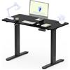 FLEXISPOT Scrivania Regolabile in Altezza 110x54 cm, Scrivania Standing con Ricarica Wireless, 2 Motori Potenti, Portata 80 kg, Funzione Memoria e Anti-Collisione, Nero