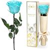Yamonic Rosa Stabilizzata Regalo Donna,Rosa Eterna con Steli Regali per Lei | Regalo per Donne Compleanno,Regali Mamma Natale San Valentino,Vera Rosa Verde Acqua