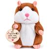 Retoo Parlando criceto ripetuto Talking peluche elettronico, divertente giocattolo interattivo per bambini bambini, apprendimento immediato, regalo di compleanno