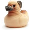 Duckshop I anatra da bagno, carlino, L 9 cm, regalo per gli appassionati di cani, collezionista