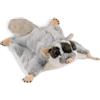 Carl Dick Scoiattolo volante, peluche, animale di peluche, ca. 30 cm 3687