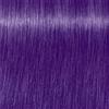 Indola Crea-Bold Deep Purple 100 ml