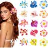 Pushiibee 15 Fermagli per Capelli a Forma di Fiore, Fiore per Capelli Multicolore con Ibisco e Orchidea, Clip per Fiori Artificiali in Stile Boho per Festival Vacanze al Mare e Matrimoni