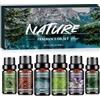 AESHORY Natura Oli Essenziali per Diffusori 6 x 10ML, Set di Olio Essenziale Puri per Aromaterapia, SPA, Massaggio, Bagno - Bambù, Pioggiak, Pino Forestale, Sandalo & Rosa, Lavanda & Camomilla