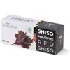 Véritable Lingot® Shiso rosso BIO - Compatibile con Orti Interni Véritable® ed Exky® - Ricarica pronta all'uso - Substrato con Semi Integrati