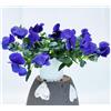 POWERS TO FLOWERS - VIOLE DEL PENSIERO, VIOLA A FIORE PENDULO BLU, SET 2 PIANTE VASO 12CM DIAMETRO, piante vere