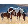 Nathan Puzzle Cavallo e puledro - 1500 pezzi cavalli