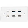 Sxhlseller Piastra a Muro Multimediale a 6 Porte, 2 Prese a Muro Ethernet HDMI 2 USB 3.0 Tipo C Cat6 - Pannello Passante per Cavi con Montaggio a Incasso per TV Proiettore Computer Home