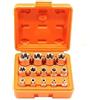 Generico SET DI CHIAVI A BUSSOLA TORX FEMMINA 14 PEZZI MIS. E4 - E24 CHROME VANADIUM