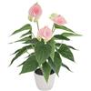 Kepfire Fiori artificiali Anthurium 38 cm rosa finto fiori tropicali pianta in vaso pianta realistica anthurium verde per tavolo ufficio centrotavola matrimonio composizione floreale decorazione