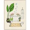 Dazzlewall Decorazione Bagno Rane Carine, Poster Coppia di Animali nella Vasca per Bagno Toilette 30×40 cm Senza Cornice
