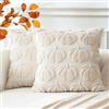 Artscope 2 Pezzi Halloween Federe in Lana Corta Velluto Copricuscini Morbido Decorativo autunnale Fodere per Cuscino Lusso Stile per Divano Camera da Letto Zucca Beige 40x40 cm