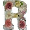 Generic Luce notturna floreale fatta a mano, 2026 in resina floreale, lampada a forma di lettera con fiori in resina con luci a LED, lampada creativa fai da te a forma di fiore, per vari (R)