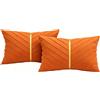 Brylleii Set di 2 Federe Cuscini Divano Velluto 30x50 Arancione Copricuscino Divano Morbido Fodera per Cuscino Oro Moderno Copricuscini Decorazione per Soggiorno Camera Giardino Balcone Sofa