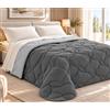 Tata Home Trapunta Invernale Matrimoniale Tinta Unita Double Face Imbottita 300 gr/mq Piumone Letto Trapuntato Caldo Soffice Mod. Elegance Bicolore GRIGIO ANTRACITE