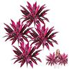 Generic Piante artificiali realistiche di felce Boston e sangue di drago, foglie finte rosa e viola, resistenti alle intemperie, per casa, giardino, decorazione per matrimoni (4)