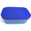 Tupperware Contenitore per congelatore con cristalli di ghiaccio, sistema per frigorifero Eidgenosse, compatto, sistema modulare per frigorifero (450 ml, blu)
