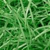 LABUYI 50g Carta Velina Tagliuzzata,Raffia Cestino Per Regali Di Riempimento,Verde | Shred Carta Velina,Paglia Per Bomboniere,,Riempimento Regalo Imballaggio Decorazione Forniture Per Feste