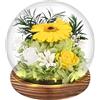 Comius Sharp Regali di girasoli per donne, Girasoli Infiniti Eterni in Vetro, girasole stabilizzato, Fiori Regalo di Compleanno Ispiratore del Sole per Amica Mamma Nonna Insegnante Fidanzate (C)