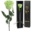 Yamonic Rosa Stabilizzata Regalo Donna,Rosa Eterna con Steli Regalo per Donne Compleanno,Idee Regali per Lei,Regali Mamma Natale San Valentino Festa della Mamma,Vera Rosa (1-Verde, 1)