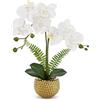 Briful Orchidee artificiali di Phalaenopsis, come veri fiori decorativi per casa e ufficio, in vaso di ceramica