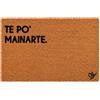 Olivo Tappeti OLIVO.shop COCCO FUNNY - Zerbino con scritte, Zerbino cocco ingresso simpatico, Tappeto cocco divertente, fondo in gomma, vari disegni, 40x60 cm (TE PÒ MAINARTE)