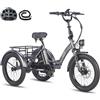 Fafrees F20 Mate Triciclo Elettrico, E-Bike Pieghevole A 3-Ruote, Batteria da 48 V/20 Ah, Triciclo Elettrico da Carico da 250 W per Adulti e Anziani, Autonomia 115 KM