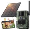 NONE Fotocamera per Fauna Selvatica 4G LTE con App, Fotocamera da Caccia Solare 2.7K con Scheda SIM, Fototrappola, Sensore di Movimento PIR, Visione Notturna, SENZA SCHEDA SD