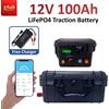 SJY Batteria LiFePO4 12V 100Ah Portatile per Imbarcazioni con Caricabatterie 10A, Batteria al Litio Ferro Fosfato da 1280Wh per Propulsione Marina