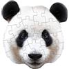 MAD CAPP Giocattolo puzzle Panda per bambini - divertimento educativo con gli animali