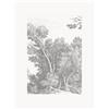 KEK Amsterdam Carta da parati in tessuto non tessuto Engraved Landscapes V - Bianco