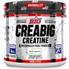 UNIVERSAL MCGREGOR Creabig Creatine Creapure 250 g