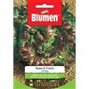 Blumen SEMI LATTUGA ROSSA DI TRENTO BLUMEN SEMENTI ORTO