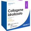 IAF NETWORK Yamamoto Research Collagene Idrolizzato 30 Bustine Fragoline Di Bosco