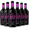 Astoria Icona Cabernet Sauvignon 2024 Doc 75 cl 6 Bottiglie