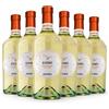 Astoria Estro Chardonnay 2025 Venezia Doc 75 cl 6 Bottiglie