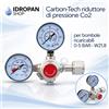 Riduttore di Pressione CO2 0-5 Bar W21,8 Carbon-Tech