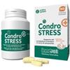 Innovet - Condrostress +Cat Confezione 30 Capsule